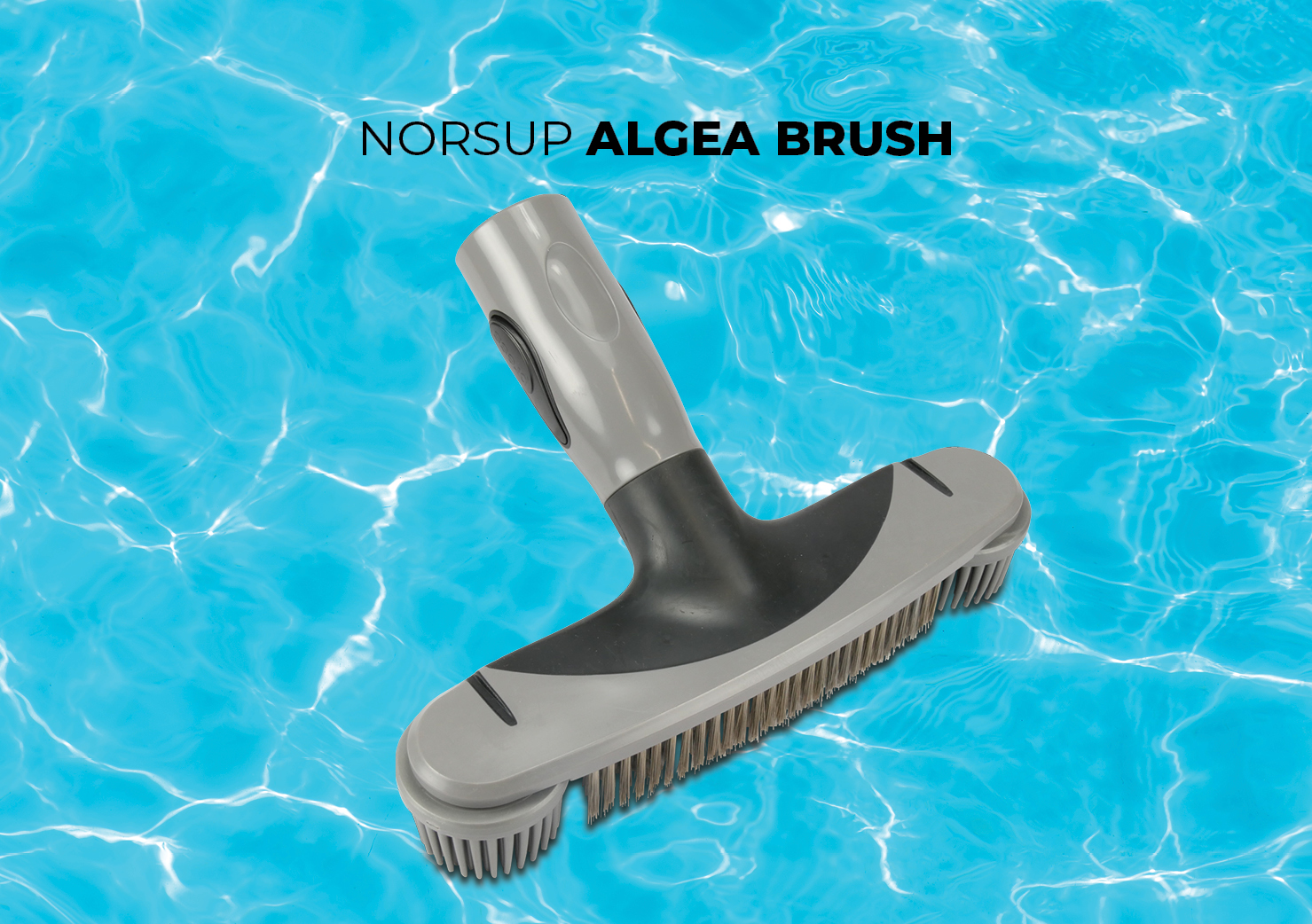 Norsup algea brush